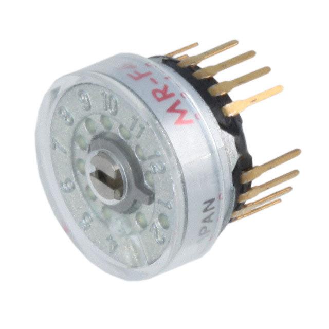 R20407RR02Q